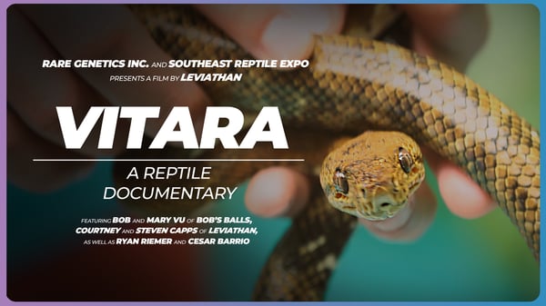 VITARA | A Reptile Documentary